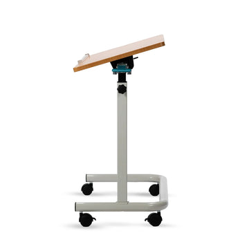 Over Bed Table Tilt SE-024T