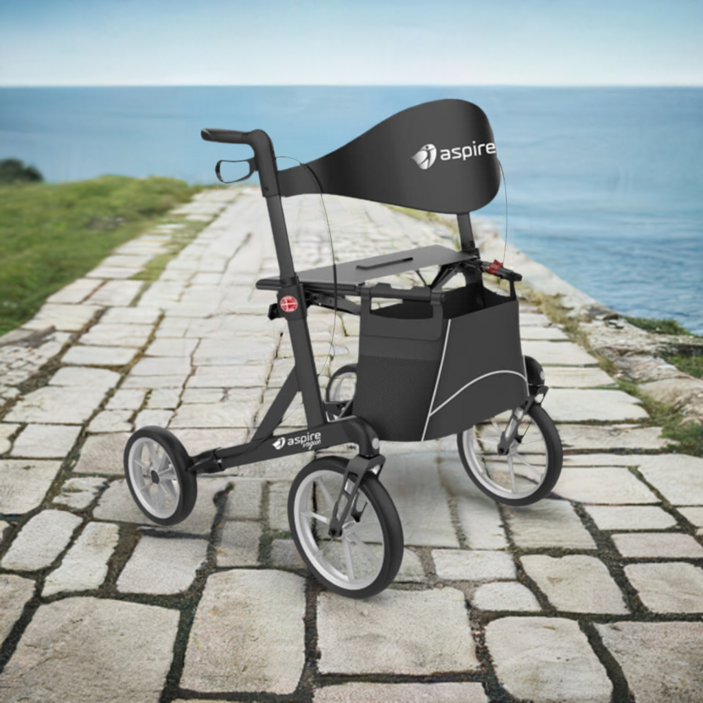 Aspire Vogue Adventure Walker | Adaptive Equipment Image Two