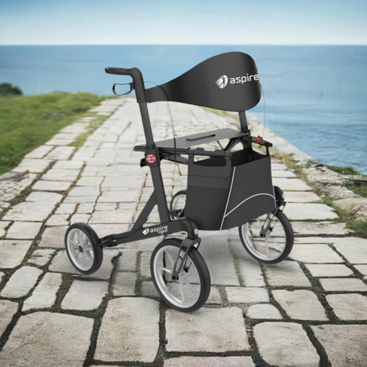 Aspire Vogue Adventure Walker | Adaptive Equipment Image Two